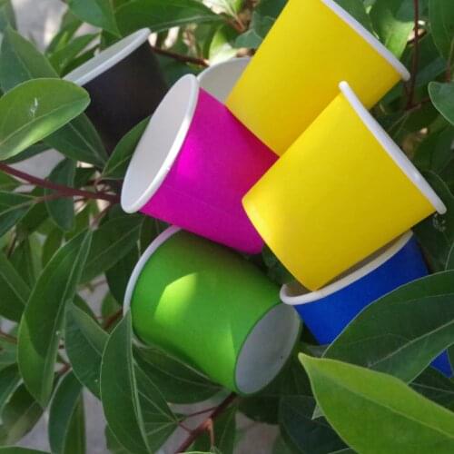 Smallsweet Disposable Cups