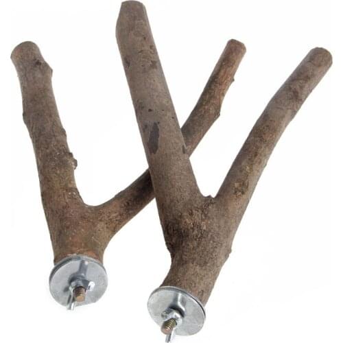 Parrots bark tree branches birds accessoires