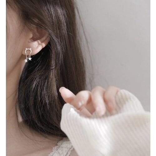 Zircon Animal Stud Earrings For Women Cat Shape Heart Paw Star Pendant Silver Color Cute Teen Girl Friendship Jewelry Party Gift