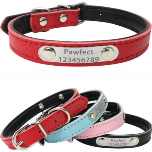 PAWFECT Goods For Individual Orders