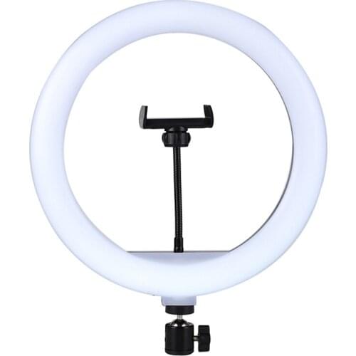 10’’ LED Ring Light with Stand and Phone Holder, USB Dimmable Selfie Light for Photography/Makeup/Vlogging/Live Streaming