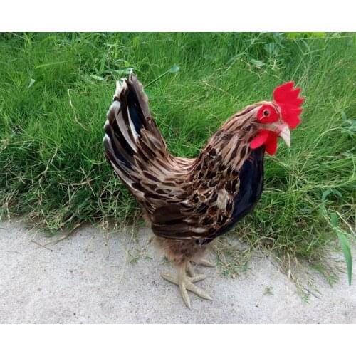 Plastic&fur feathers coloured hen large 23x15x34cm hard model craft home decoration toy gift w0190
