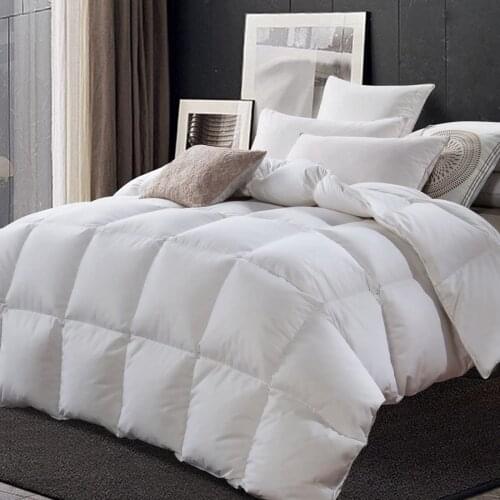 New Natural Down Winter Quilt Duvets Solid Color Comforter Mulberry Silk Quilt Quality 100%Cotton Fabric Silk Comforter Blankets