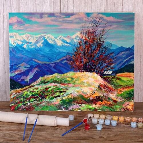 Landscape Carpathians Paint By Numbers Set Oil Paints 40*50 Picture By Numbers Photo Paintings For Kids Wholesale Handicraft