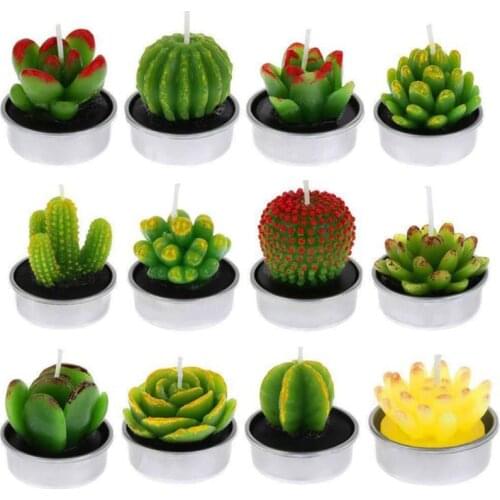 6Pcs 3D Cactus Candle Simulated Plant Set Home Decoration Candle Tea Light Decor