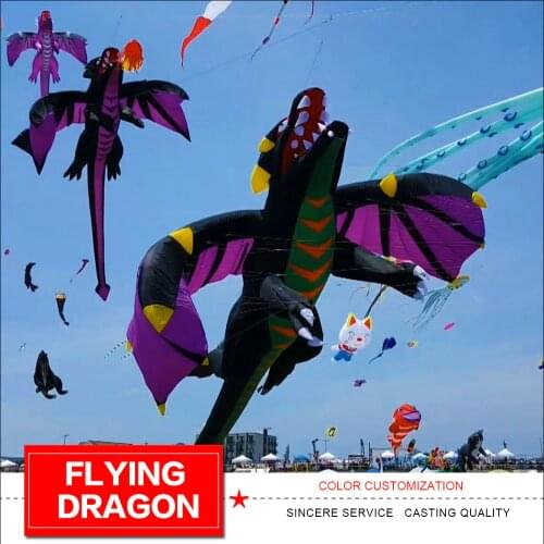 6.5m Flying Dragon Kite