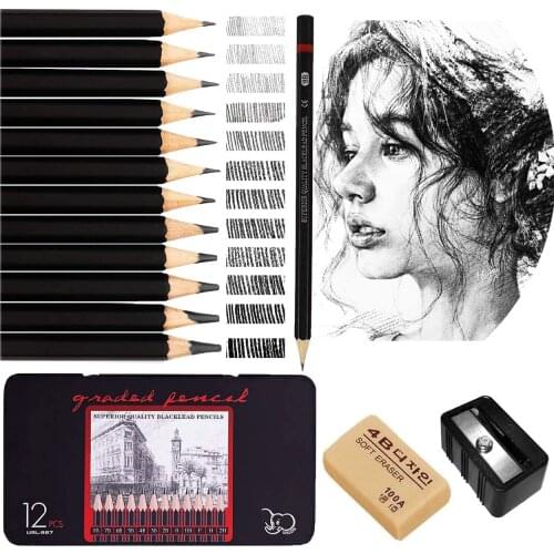 12 Sketching Pencils Professional Drawing Set Graphite Pencils for Artist,Beginner,Student,Kid (12 Pencils + Eraser + Shapener
