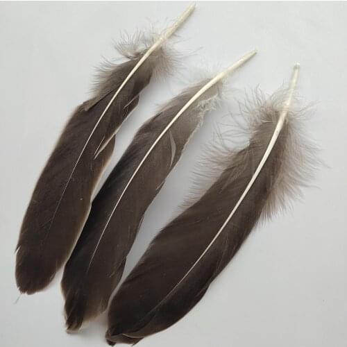 Hot 20pcs Beautiful Natural Hard Goose Feathers 15-20cm/6-8inch Christmas Decoration Clothing Shoes Hat Accessories