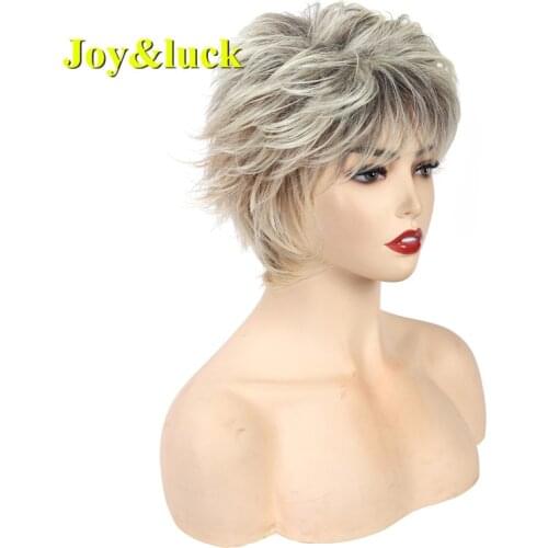 Joy&luck 10inch Short Wig Blonde Ombre Brown Color Straight Synthetic Wigs Fashion Hair Style for Men or Women Cosplay Wig