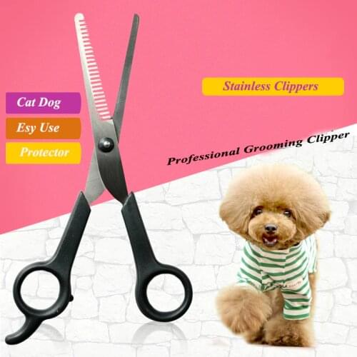 Best Baby Dog Care Products