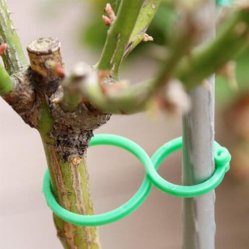 50/100 Pcs Garden Plant Holder Reusable Trellis Clips For Vine Vegetable New Tomato Growing Upright Garden Plant Stand Tool