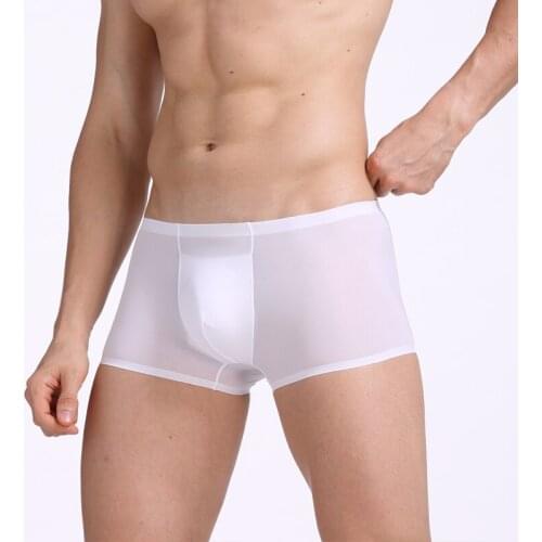 Sexy Ice Silk Boxer Shorts Sexy Thin Sheer Low Waist Underwear Summer Large Boxers 2018 Slip Home Transparent Breathable Boxers