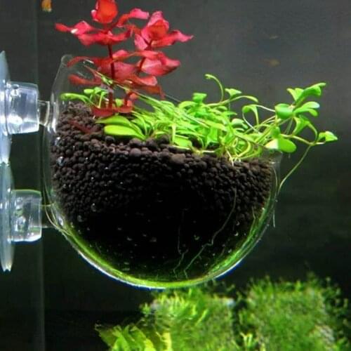 Aquarium decoration fish tank Mini Crystal Glass Pot Polka Water potted planting cylinder cup aquarium accessories