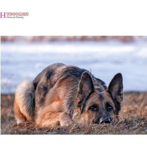 5d diamond painting Animal german shepherd full drill square diamond embroidery Cross stitch rhinestones Wedding decoration