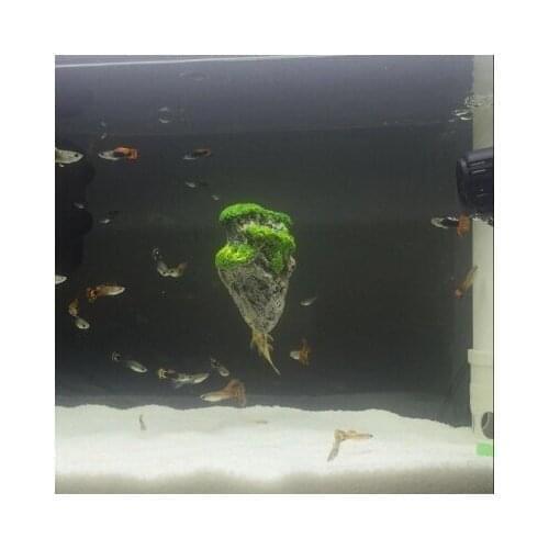 Aquarium decorative aquarium landscaping simulation resin pumice floating rockery "Avatar" suspended suspended rock