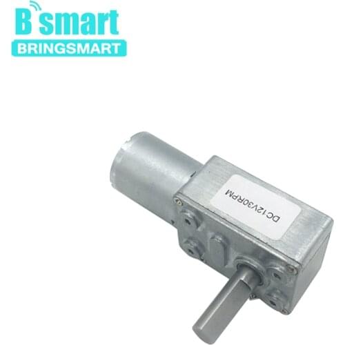 Bringsmart JGY370 Low RPM Speed Reducation DC Worm Geared Motors 24V 8mm D7 Shaft Length 25mm High Torque Turbo Motor