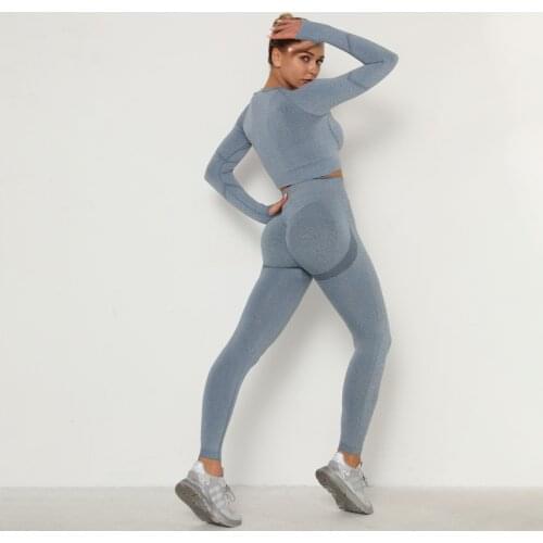 Seamless Yoga Suit 2 PCS Sports Shirts Crop Top Seamless Leggings Sport Set Gym Clothes Fitness Tracksuit Workout Set Femme 2007