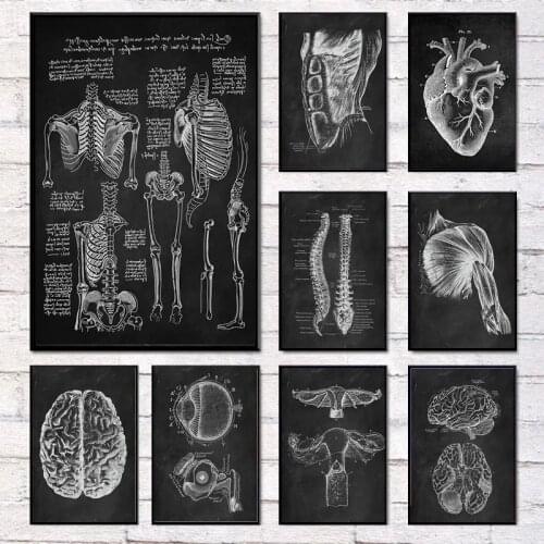 Skeleton Organ Muscular Human Anatomy Artwork Canvas Painting Poster Print Wall Art Retro Picture Medical Clinic Home Deco Body