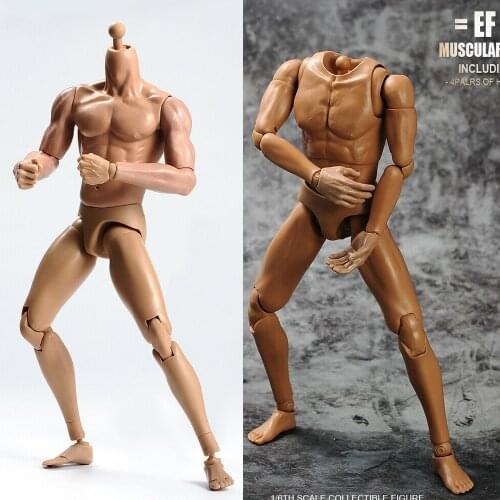 TQ230/ TQ220 1/6 Scale Male Muscular Body With Neck Action Figure Dolls For Collection