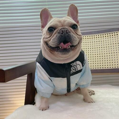 Pet Dog Clothes Down Jacket Winter Warm Dog Face Jacket Coat Fashion French Bulldog Pug Chihuahua Yorkshire Outfit
