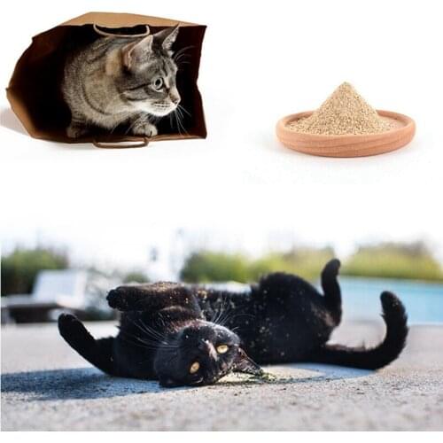 Pet Cat Spit Hair Helps Digestive Matatabi Actinidia Wood Scorpion Powder Toy Cats Snack