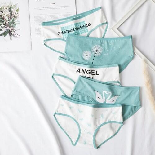 Women Panties Cotton Female Breathable Underwear Mid Waist Swan Dandelion Briefs for Ladies Girls Comfortable Sexy Cute Lingerie