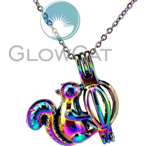 CC501 Rainbow Color Squirrel Nut Beads Cage Pendant Aromatherapy Essential Oil Diffuser Pearl Cage Locket Necklace
