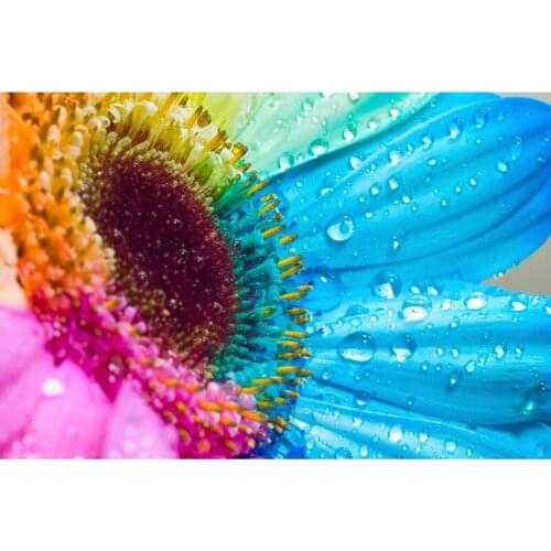 Full Drill Square Diamond 5D DIY Diamond Painting"Colorful sunflowers"Diamond Embroidery Cross Stitch Rhinestone Mosaic Painting