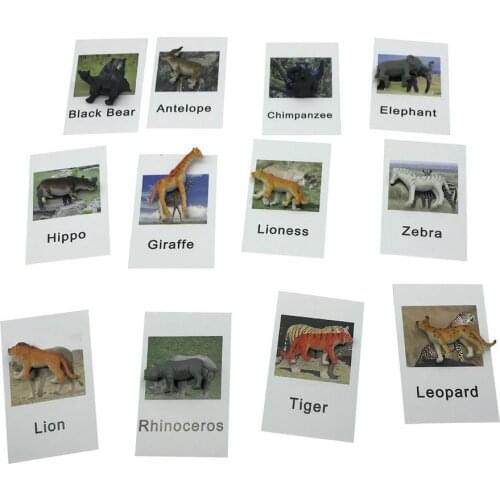 24Pcs/Set Montessori Baby Toys For 3year Learning English Animals Kids Card Early Educational Practical Life Toys For Children