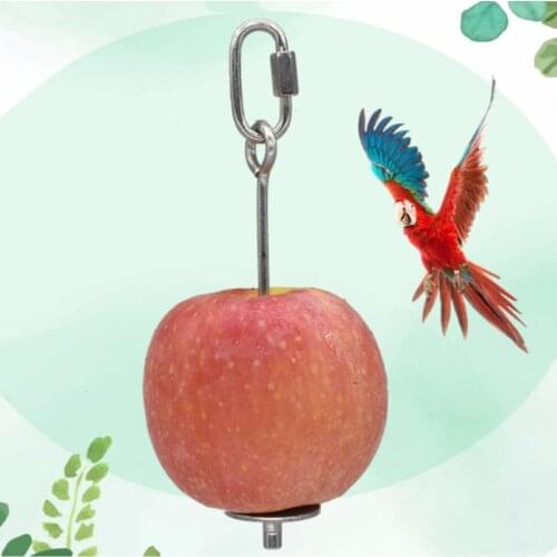 Bird Food Holder Support Stainless Steel Parrot Fruit Vegetable Feeder Stick Spear Meat Skewer Foraging Toys