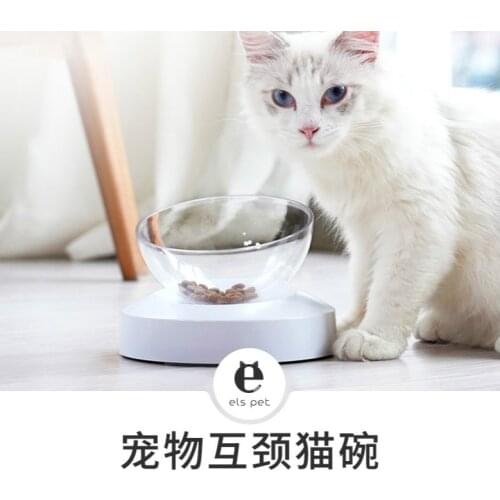 Adjustable Cat Water Bowl For Comfortable Eating Oblique Transparent Cat Food Bowl Dog Food Bowl