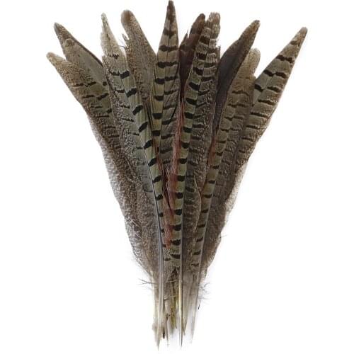 20-25CM High Quality Pheasant Feathers Tail DIY Festival Headdress Accessories Carnival Centerpiece Decoration Plumes For Crafts