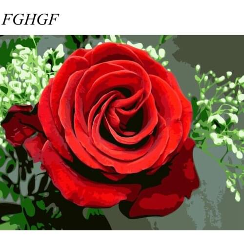 FGHGF Framed Rose Flower DIY Painting By Numbers Painting Calligraphy Canvas Painting Coloring By Numbers