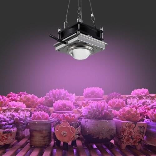 COB LED Grow Light 150W Phyto Lamp For Plants Fitolampy Indoor Lamp Full Spectrum Grow Tent Box Garden Light For Plants Flowers