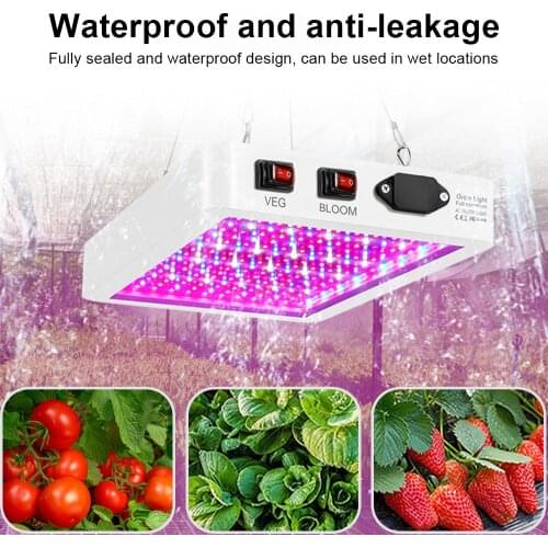 Leclstar LED Plant Lamps