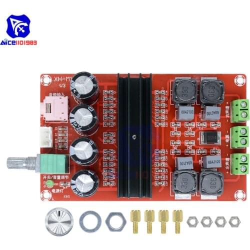 Diymore TPA3116D2 2 x 100W Amplifier Module Dual Channel Digital Audio Amplifier Board DC 12V-24V