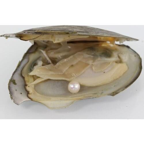 20 pcs Free Shipping Wish Pearl Oyster7-8MM Akoya Oysters With Round Pearls Colored Round Pearl Vacuum-packed AR022