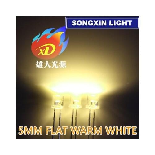 100pcs Water Clear 5mm Warm White Ultra Bright LED Diode Light 5 mm Flat Top Wide Angle LED Light Emitting Diode Lamp