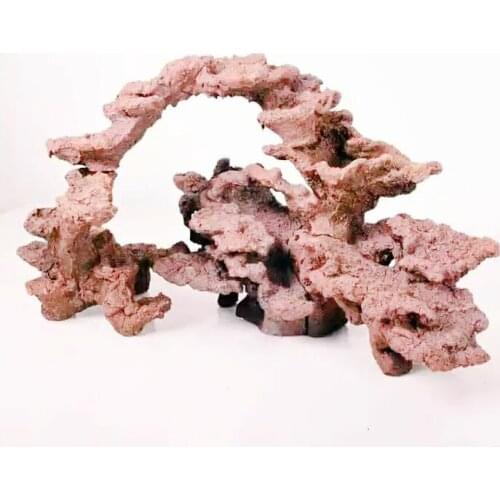 DW Aquarium bio active rock Build marine systems quickly Landscaping Rapid cultivation nitrifying bacto Suitable for 60cm Tank