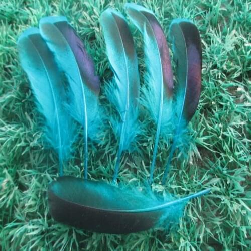 Wholesale 20 PCS/a lot of beautiful sky blue duck feathers 4-6 inches / 10 to 15 cm clothing hat DIY decoration