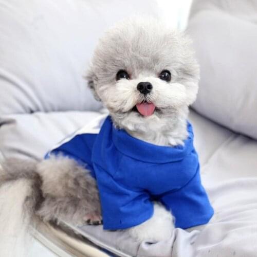 Fashion Pet Dog Sweatshirt for Small Medium Dogs French Bulldog Hoodie Yorkie Pug Coat Puppy Dog Clothes PDC0119