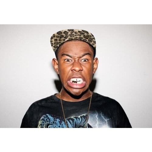 Tyler the Creator Music Star 6 Silk Fabric Wall Poster Art Decor Sticker Bright