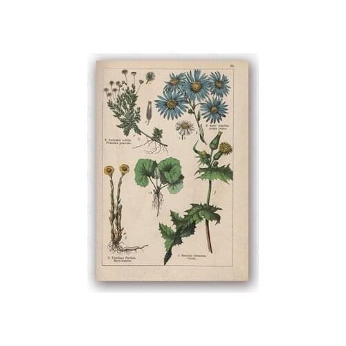 Diy Diamond Painting Modern Natural Biology Plant Family Many Wild Plants Picture Book Atlas Niche Entrance Decorative Painting