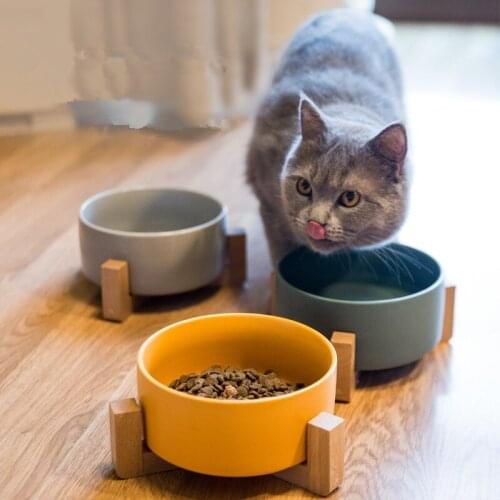 Dry Ceramic Pet Bowl Canister Food Water & Treats for Cats & Dogs More Comfortable Eating for Kitten and Puppy Durable WF1010