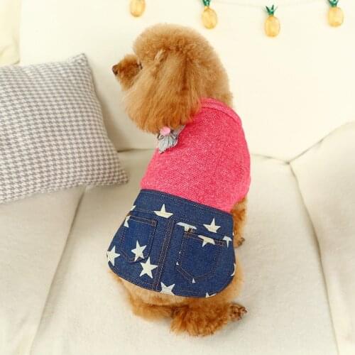 Dog Pet Hoodie Dog Dress Pet Cat Jean Coat Cat Puppy T-Shirt Coat Autumn/Winter Clothes Apperal