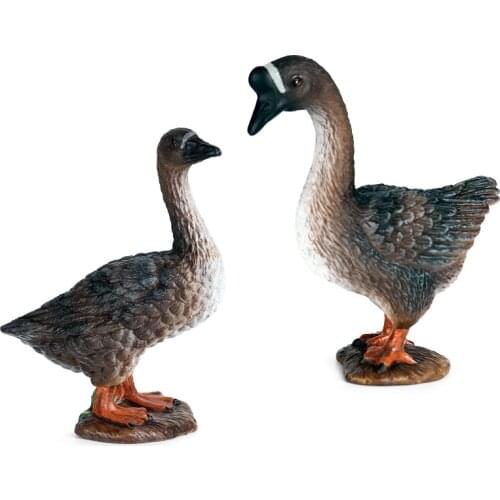 QiKids Bird Figurines