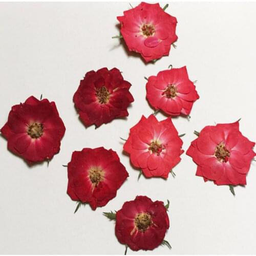 100pcs Pressed Dried Red/Pink Rose Flower For Wedding Party Home Pendant Necklace Craft DIY Bouquet Accessories