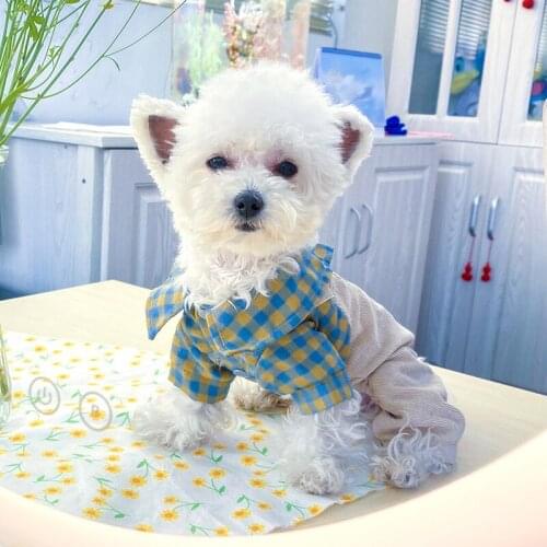 Dog Pets Summer Dress Chihuahua Teddy Wedding Dress Skirt Puppy Clothing Spring Dresses Dogs Jean Pet Clothe Cute Four-legged