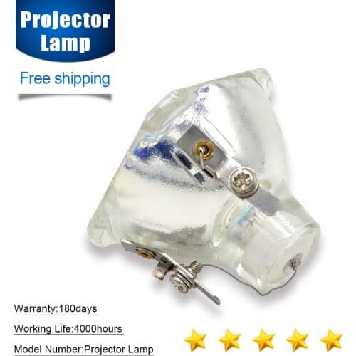Compatible EC.J2101.001 for ACER XD1250P XD1170 XD1170D XD170D DNX0503 XD127 Projector Lamp