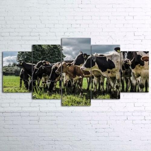 5pcs diamond embroidery Animal Cow pictures mosaic diamond mazayka Full square round diy diamond painting cross stitchZP-2658